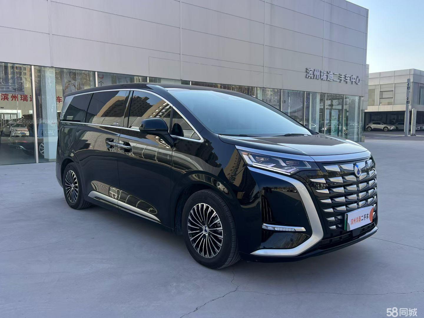 Denza D9 2023 immagine di auto #3