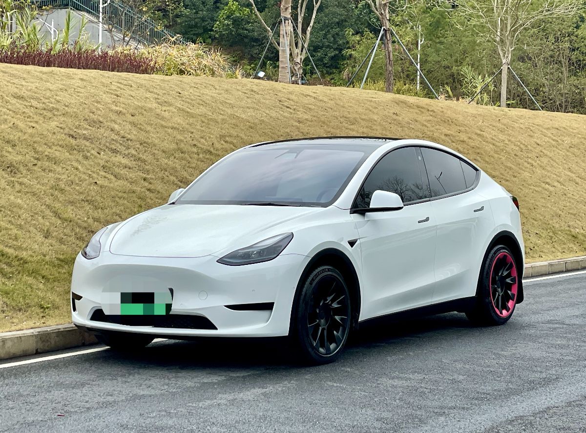 Tesla Model Y 2023 car image 