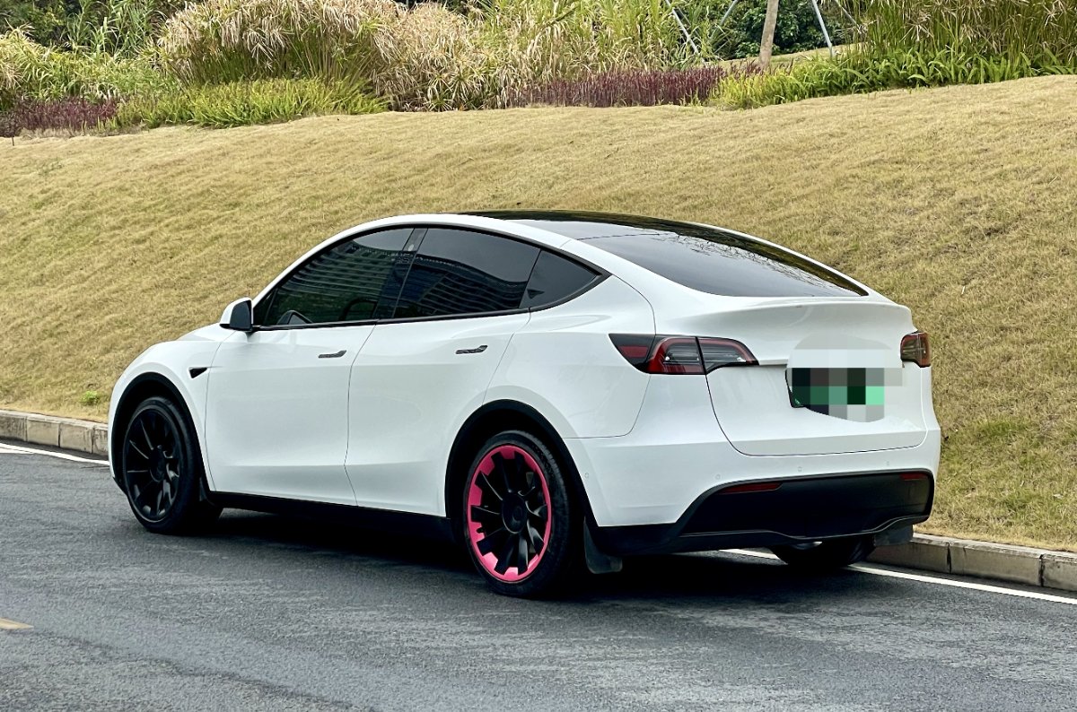 Tesla Model Y 2023 car image #11