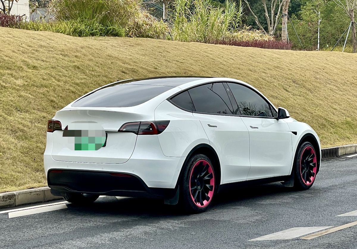 Tesla Model Y 2023 car image #10
