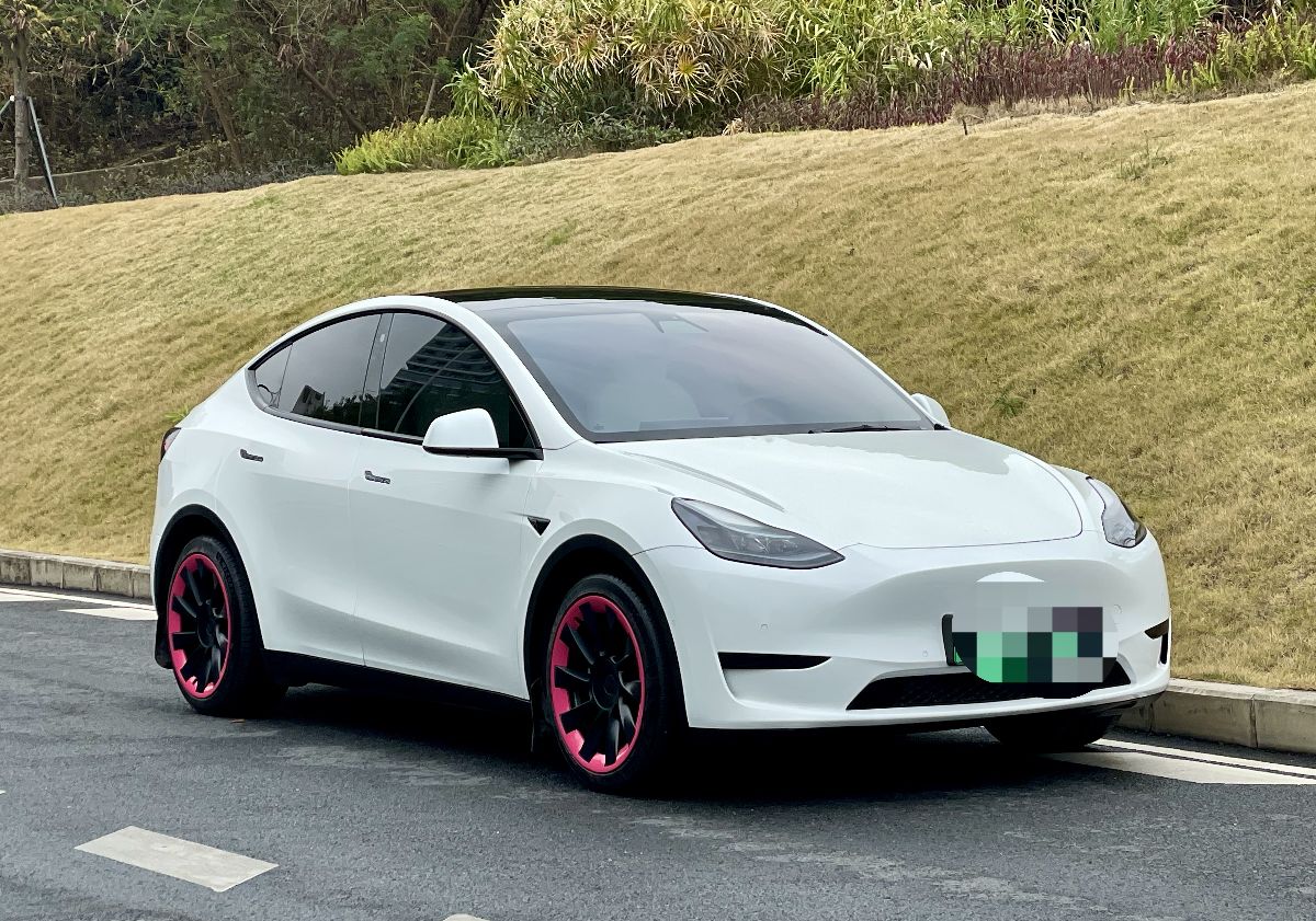 Tesla Model Y 2023 car image #9