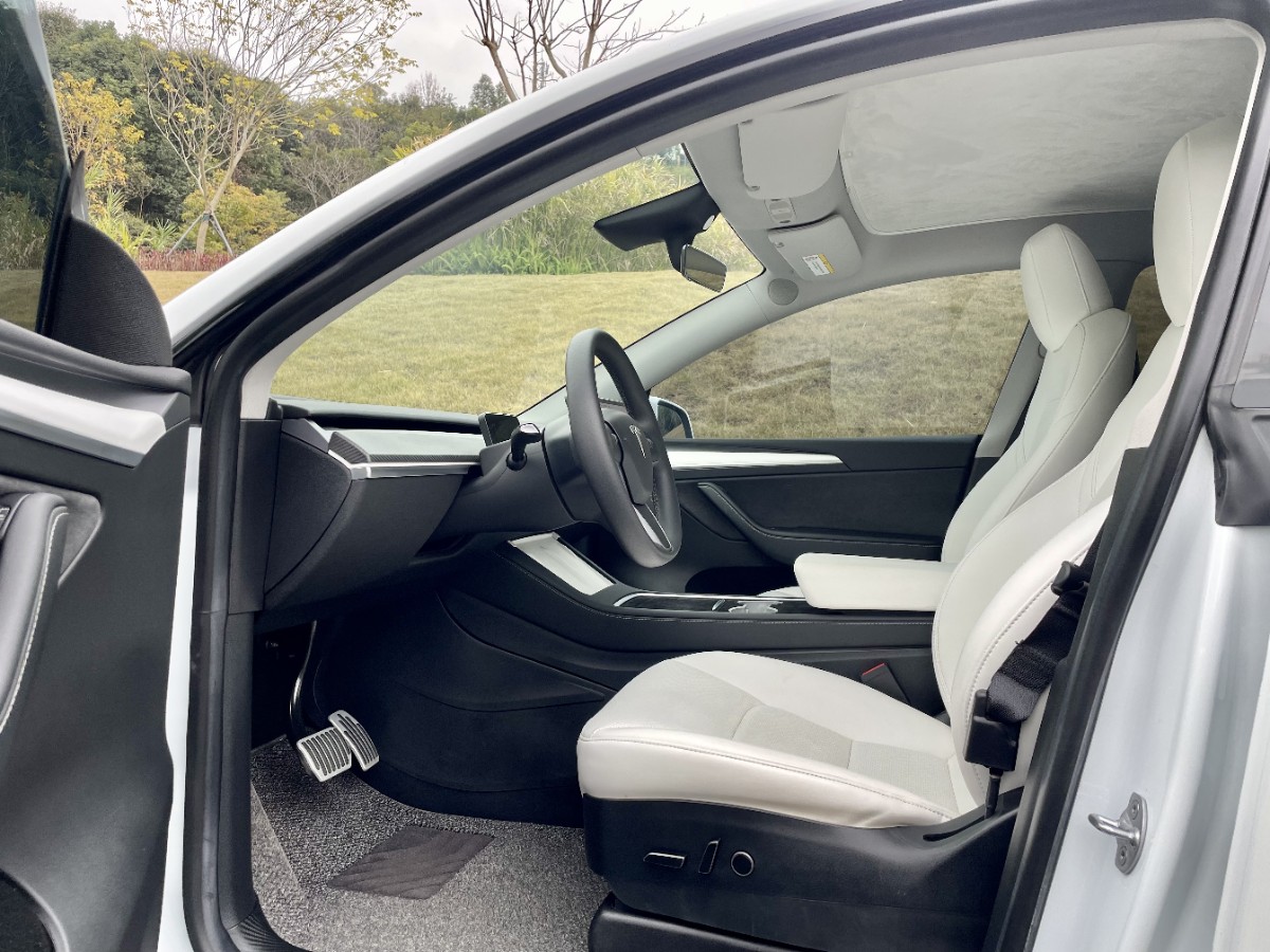 Tesla Model Y 2023 car image #8