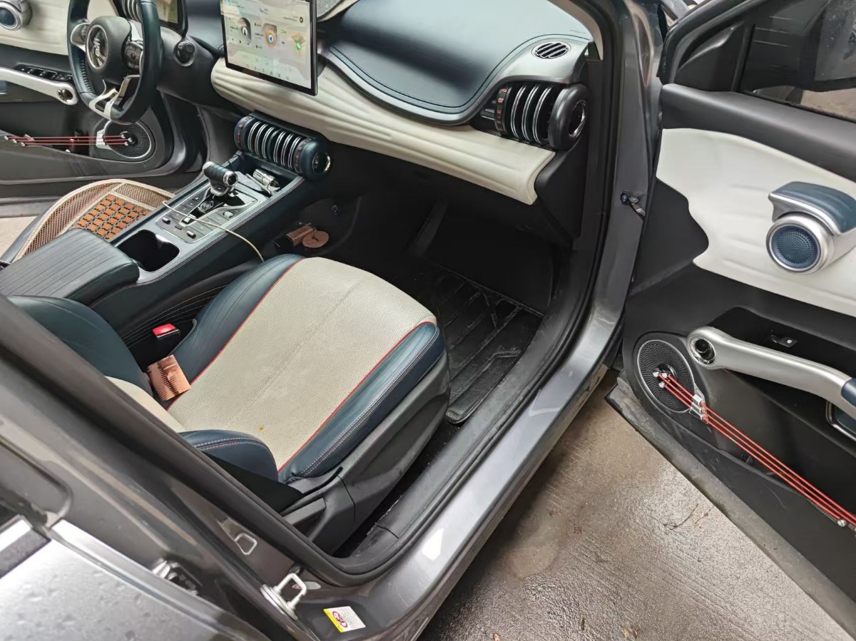 BYD Yuan Plus 2022 car image #5