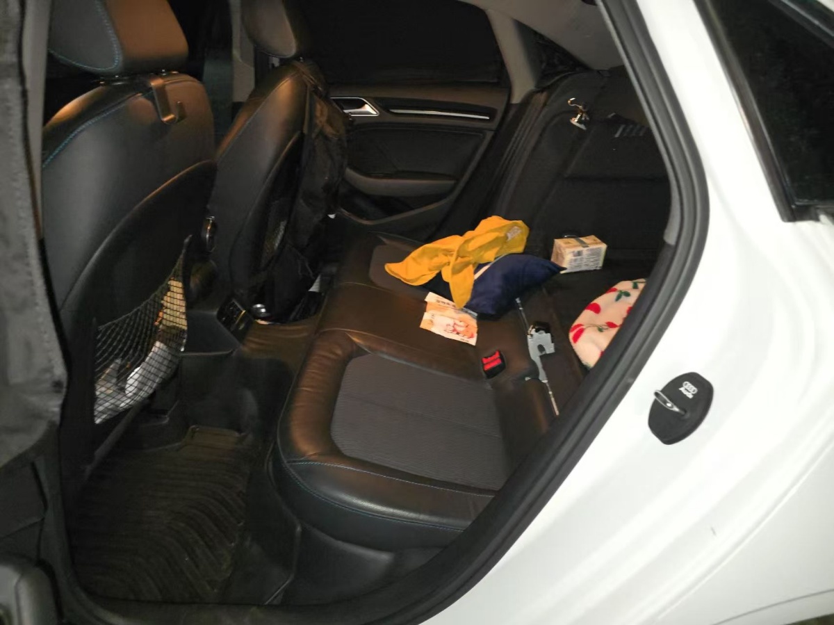 Audi A3 2019 car image #6