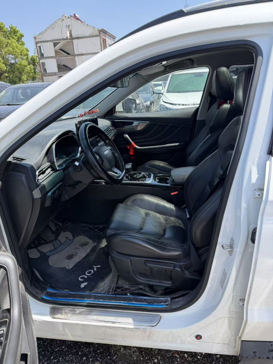 Jetour X70S 2019 #5 Jetour X70S 2019 car image #5