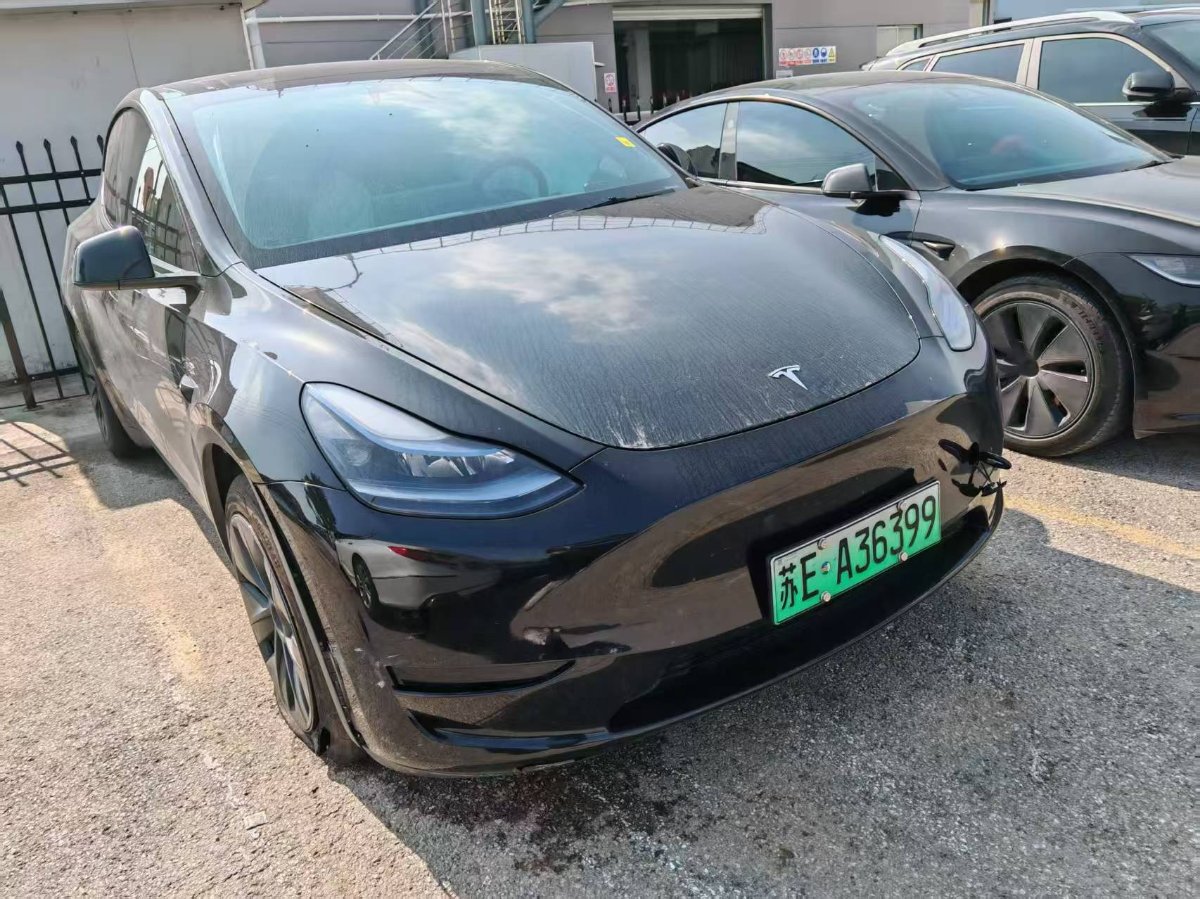 Tesla Model Y 2024 Tesla Model Y 2024 car image