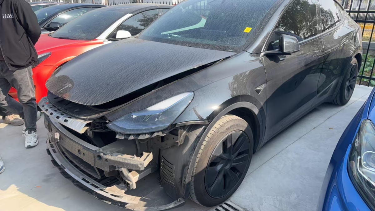 Tesla Model Y 2024 #2 Tesla Model Y 2024 car image #2