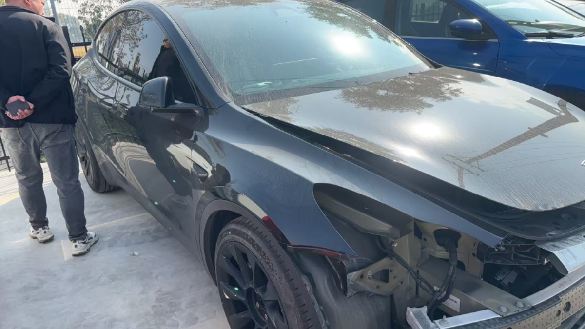 Tesla Model Y 2024 #7 Tesla Model Y 2024 car image #7