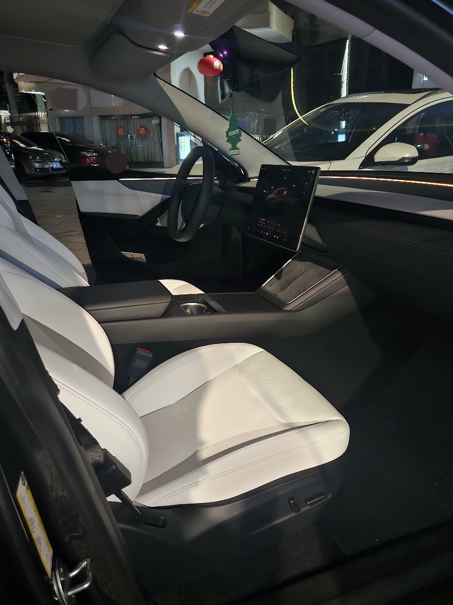 Tesla Model Y 2025 car image #6