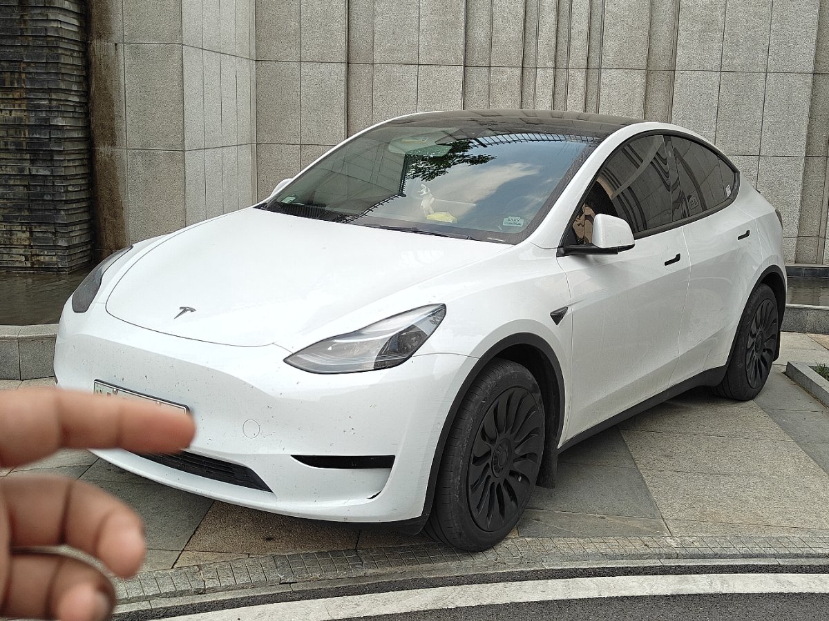 Tesla Model Y 2023 Tesla Model Y 2023 car image