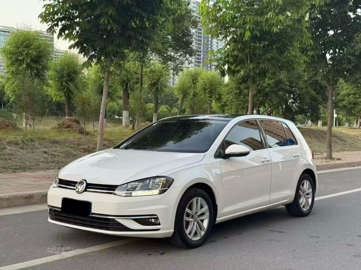 Volkswagen Golf 2019 car image 