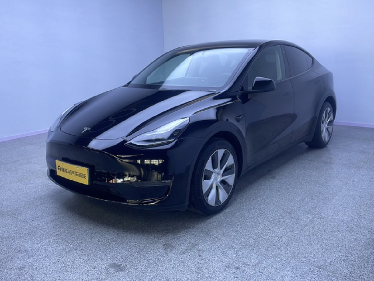 Tesla Model Y 2021 car image 