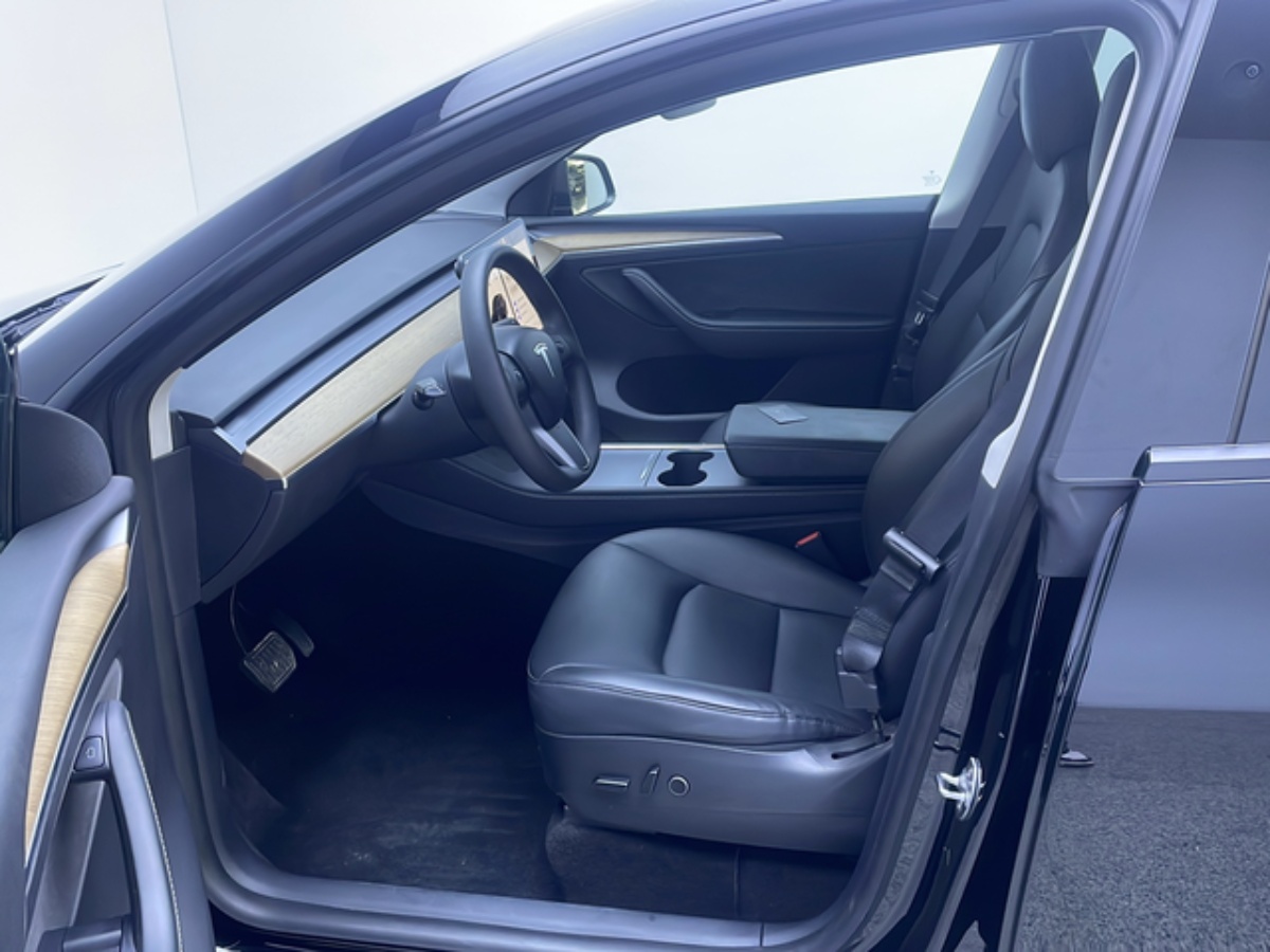 Tesla Model Y 2021 car image #7