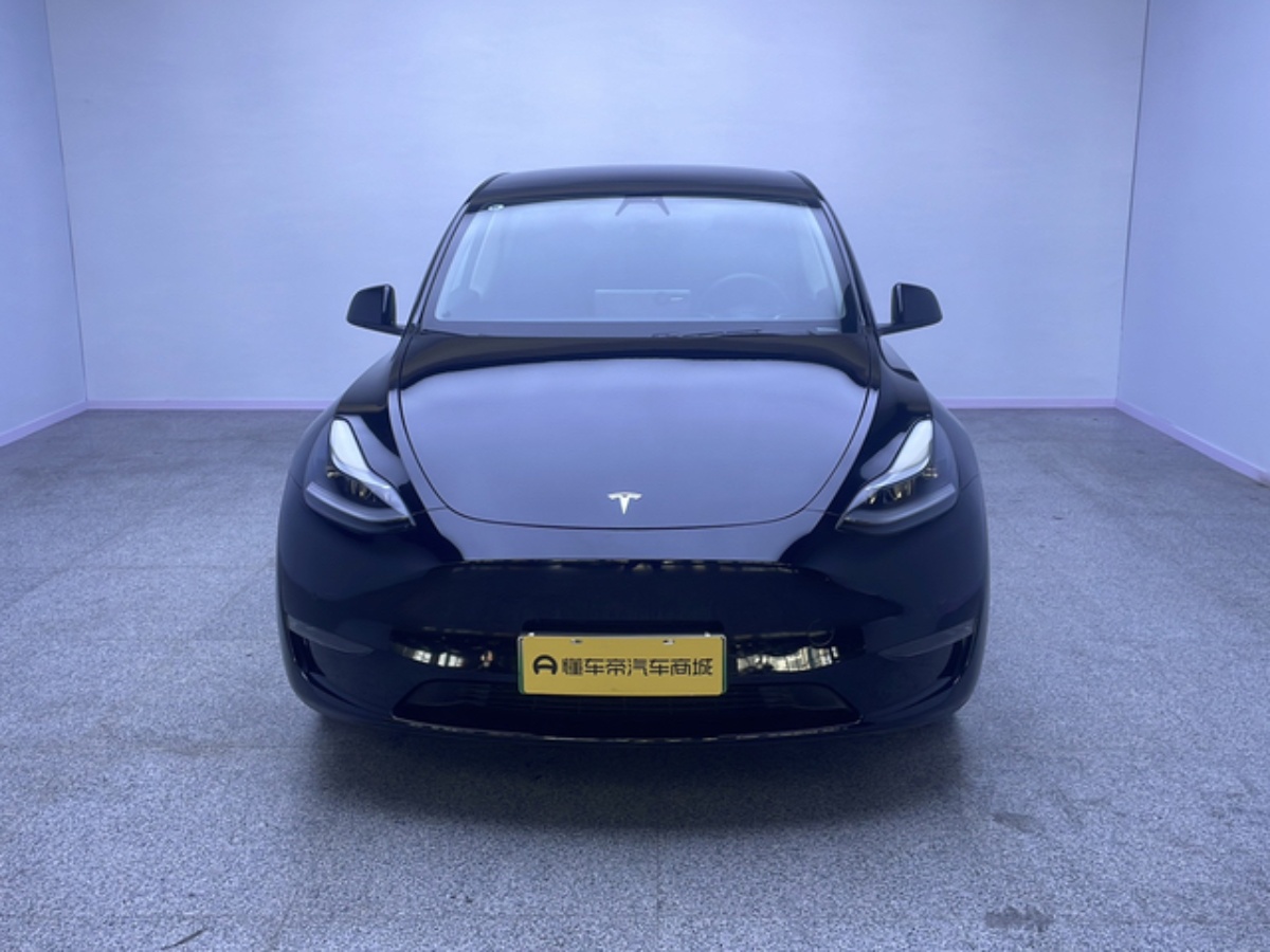 Tesla Model Y 2021 car image #2