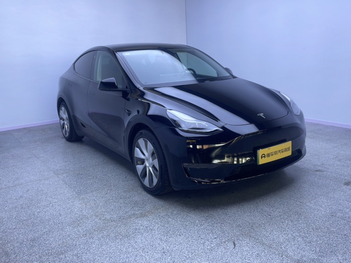 Tesla Model Y 2021 car image #6