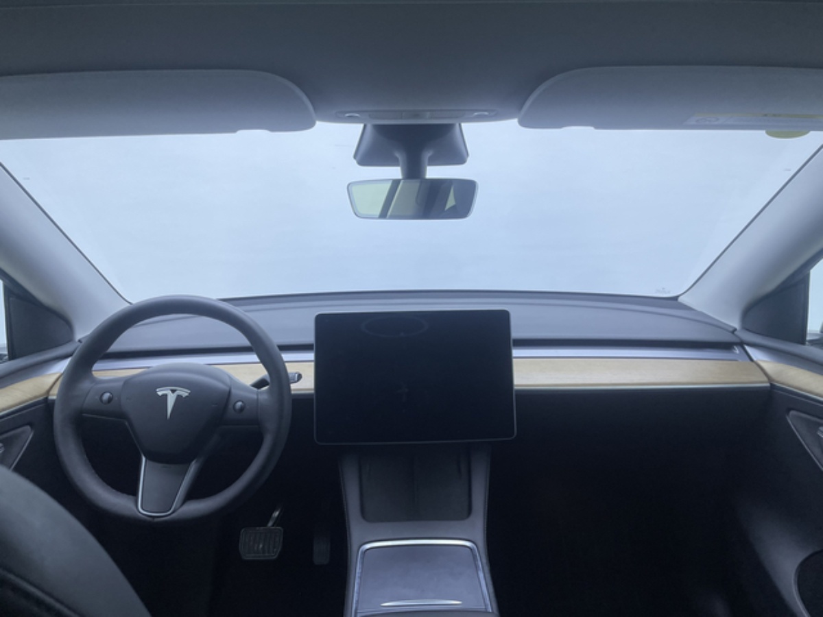 Tesla Model Y 2021 car image #4