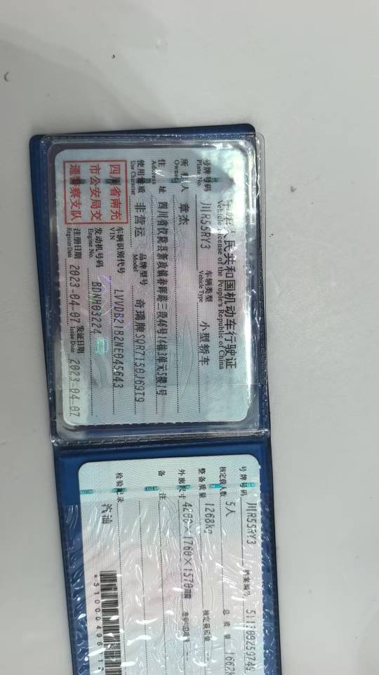 Chery Tiggo 3x 2023 immagine di auto #9