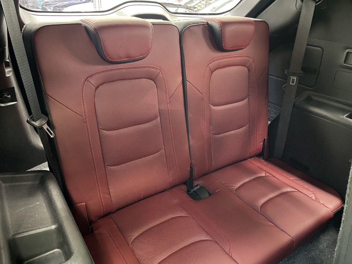 Jetour X70 PLUS 2022 car image #10