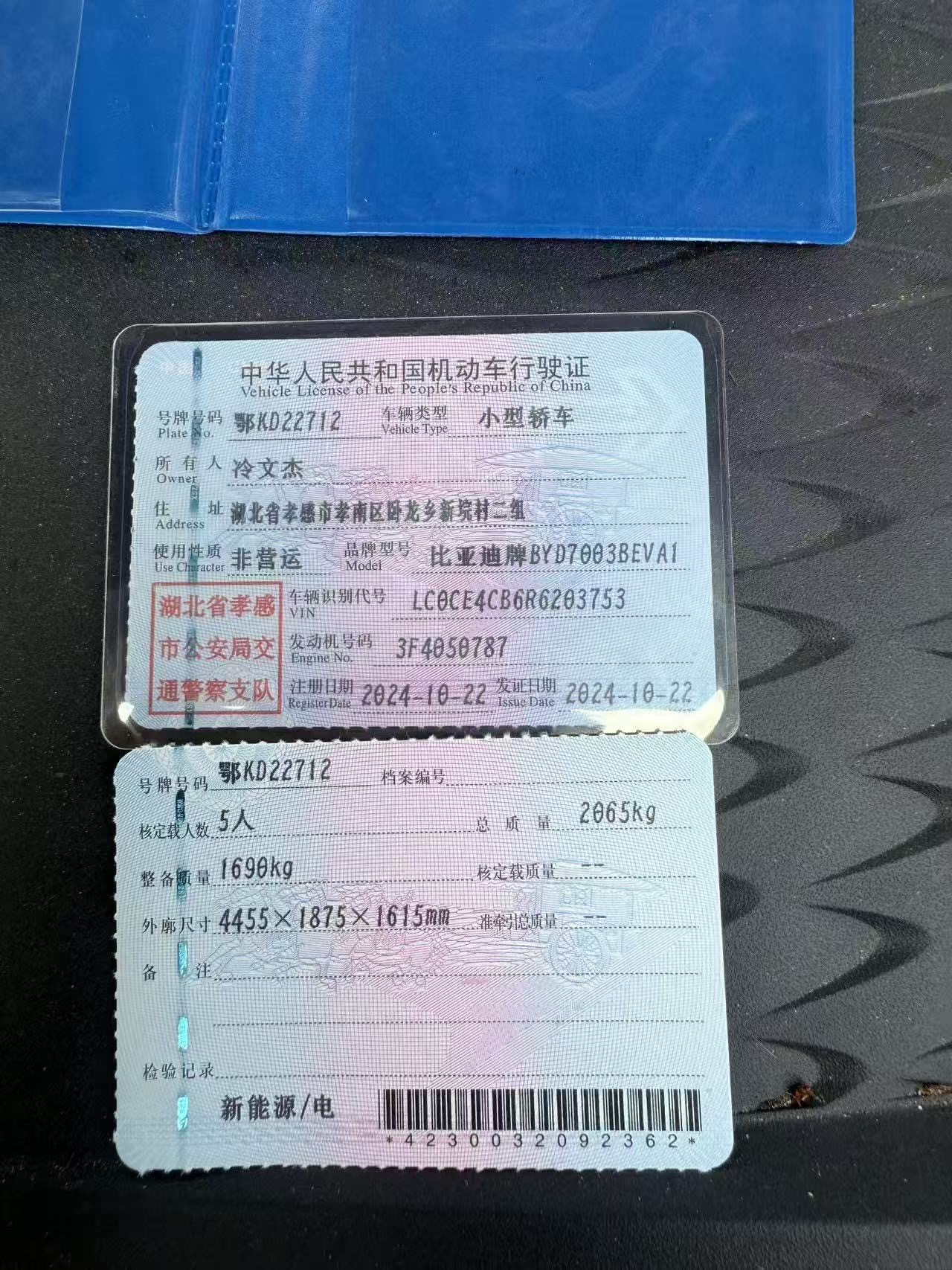 BYD Yuan Plus 2024 car image #10