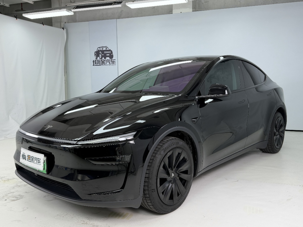 Tesla Model Y 2025 Tesla Model Y 2025 car image