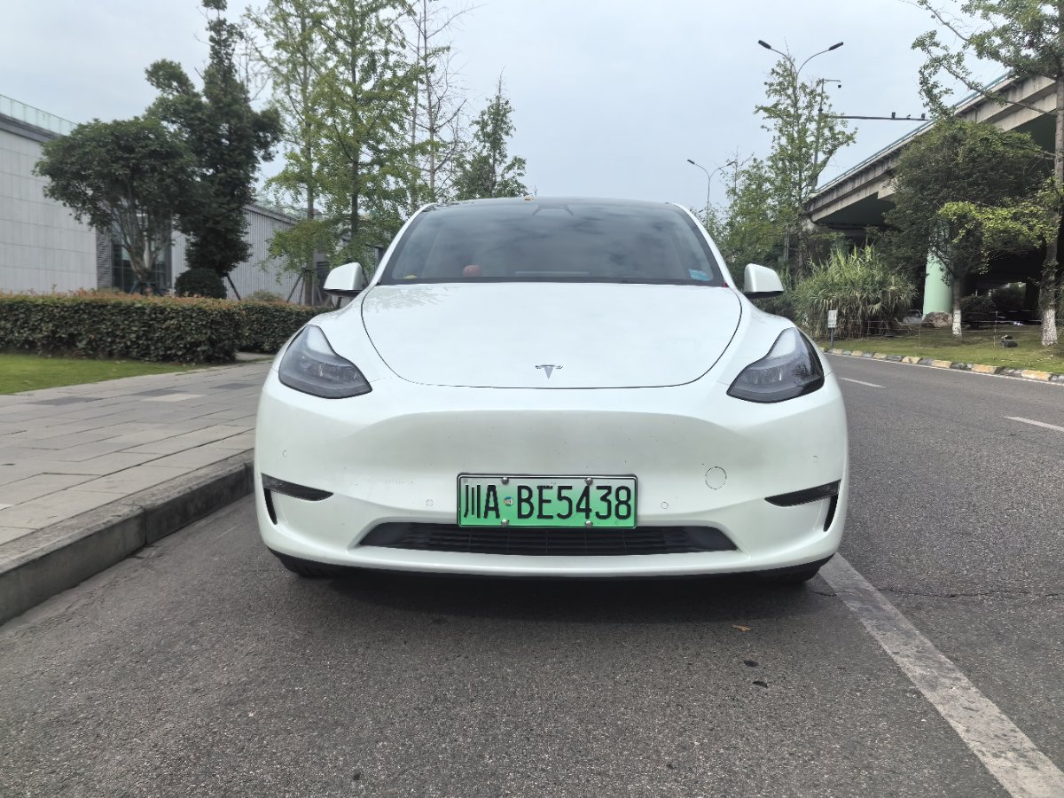 Tesla Model Y 2021 car image #2