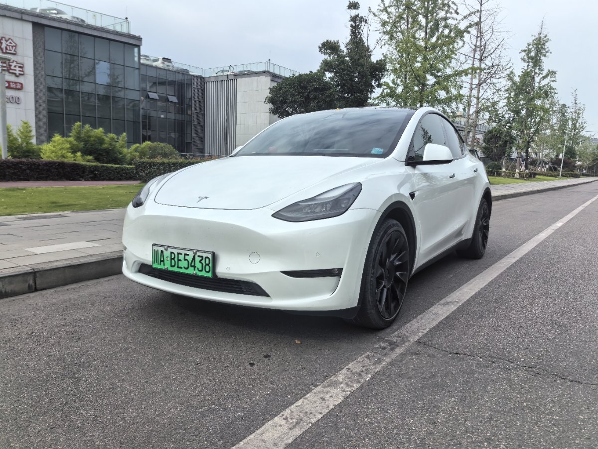 Tesla Model Y 2021 car image 