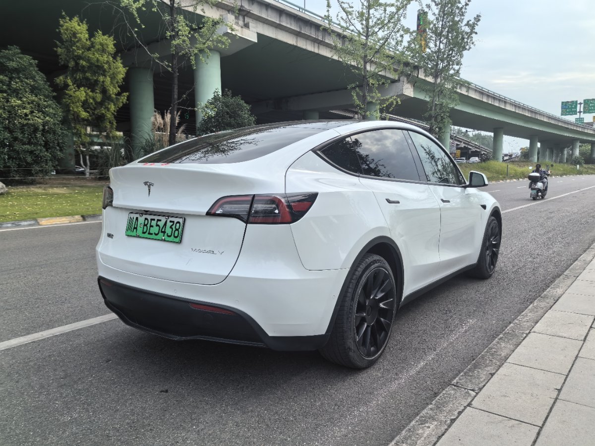 Tesla Model Y 2021 car image #7