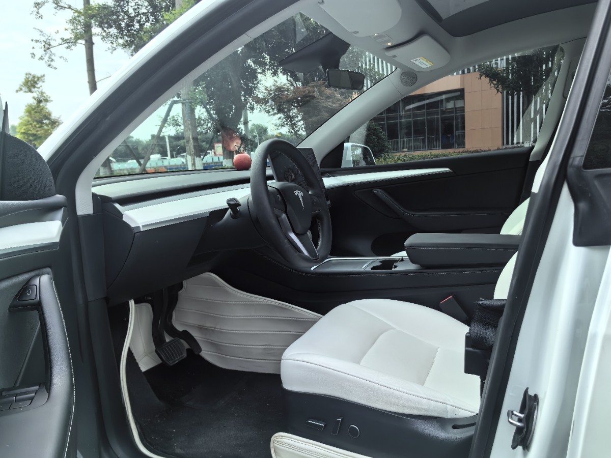 Tesla Model Y 2021 car image #6
