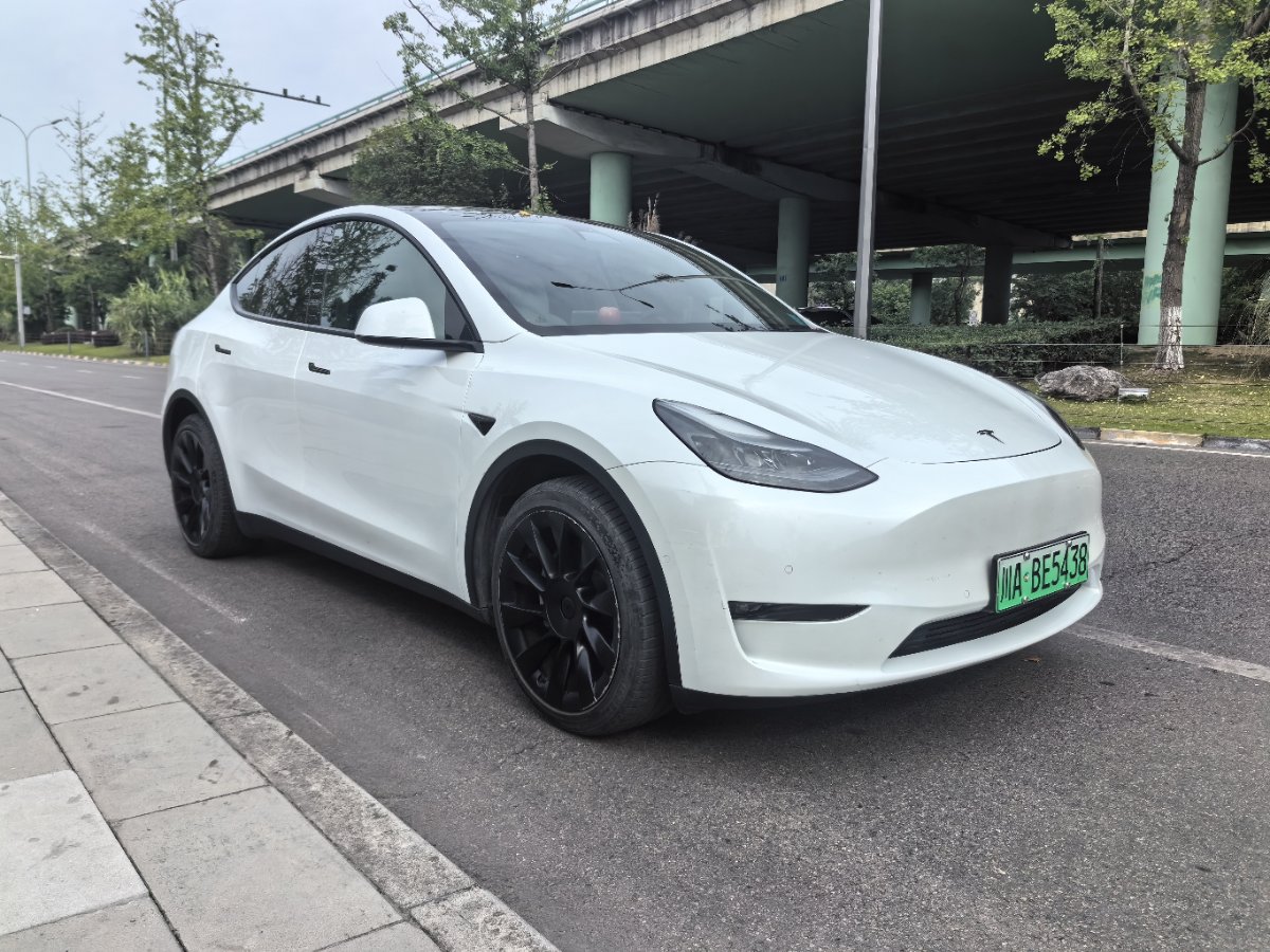 Tesla Model Y 2021 car image #3