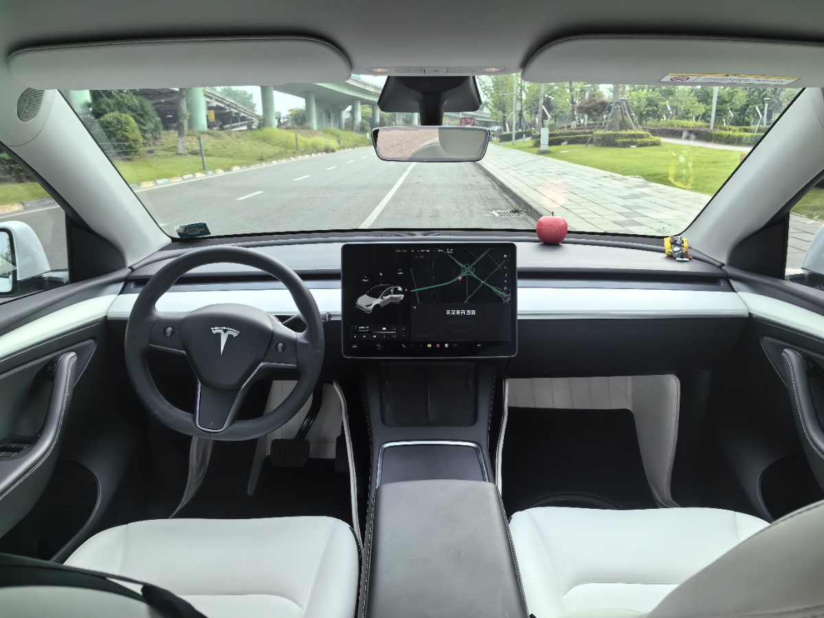 Tesla Model Y 2021 car image #5