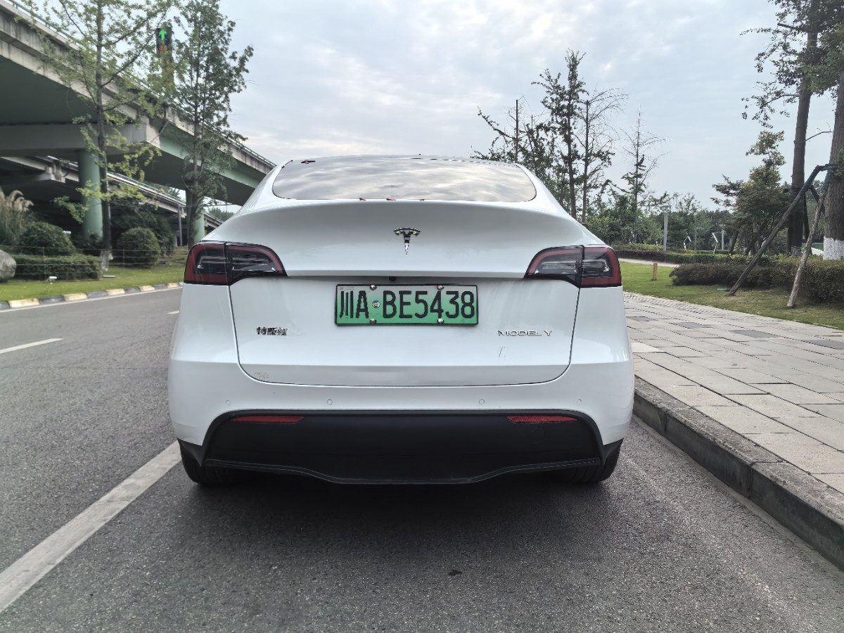 Tesla Model Y 2021 car image #8