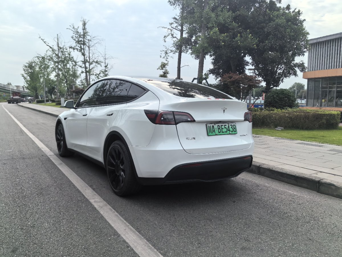 Tesla Model Y 2021 car image #9