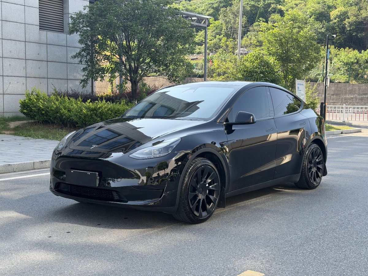 Tesla Model Y 2022 Tesla Model Y 2022 car image