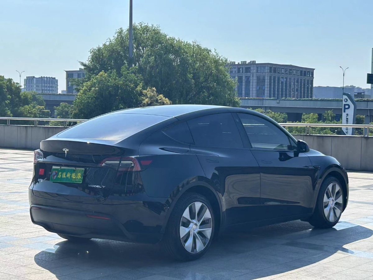Tesla Model Y 2021 #2 Tesla Model Y 2021 car image #2
