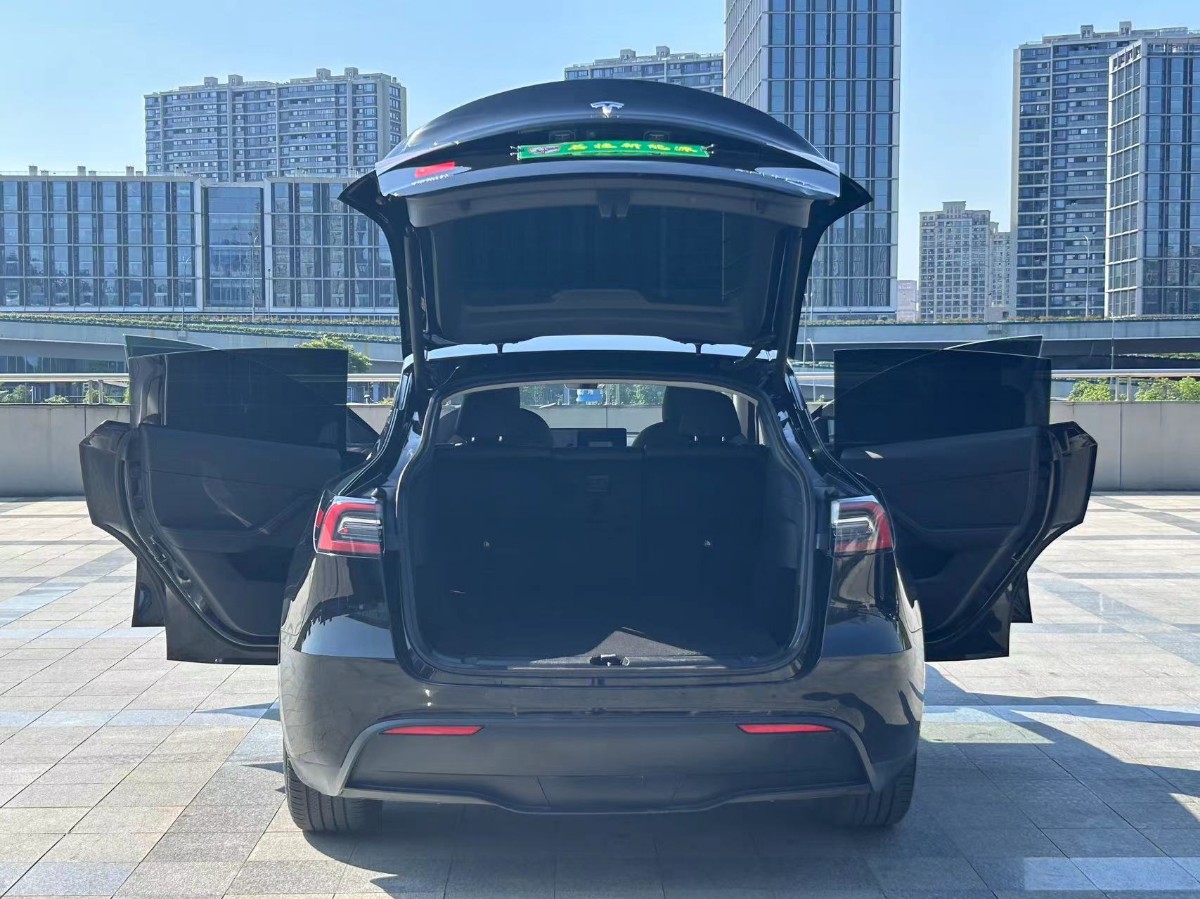 Tesla Model Y 2021 #7 Tesla Model Y 2021 car image #7