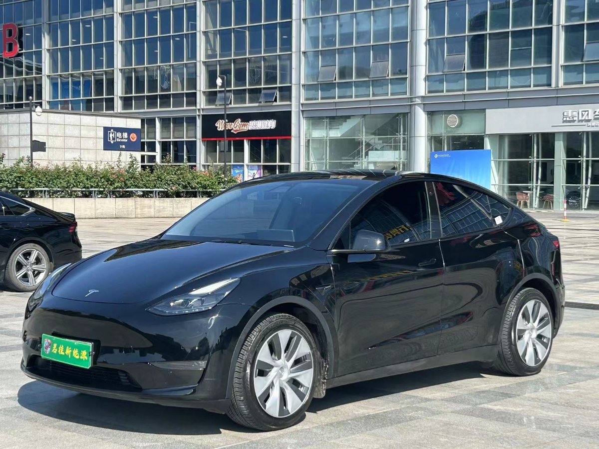 Tesla Model Y 2021 Tesla Model Y 2021 car image