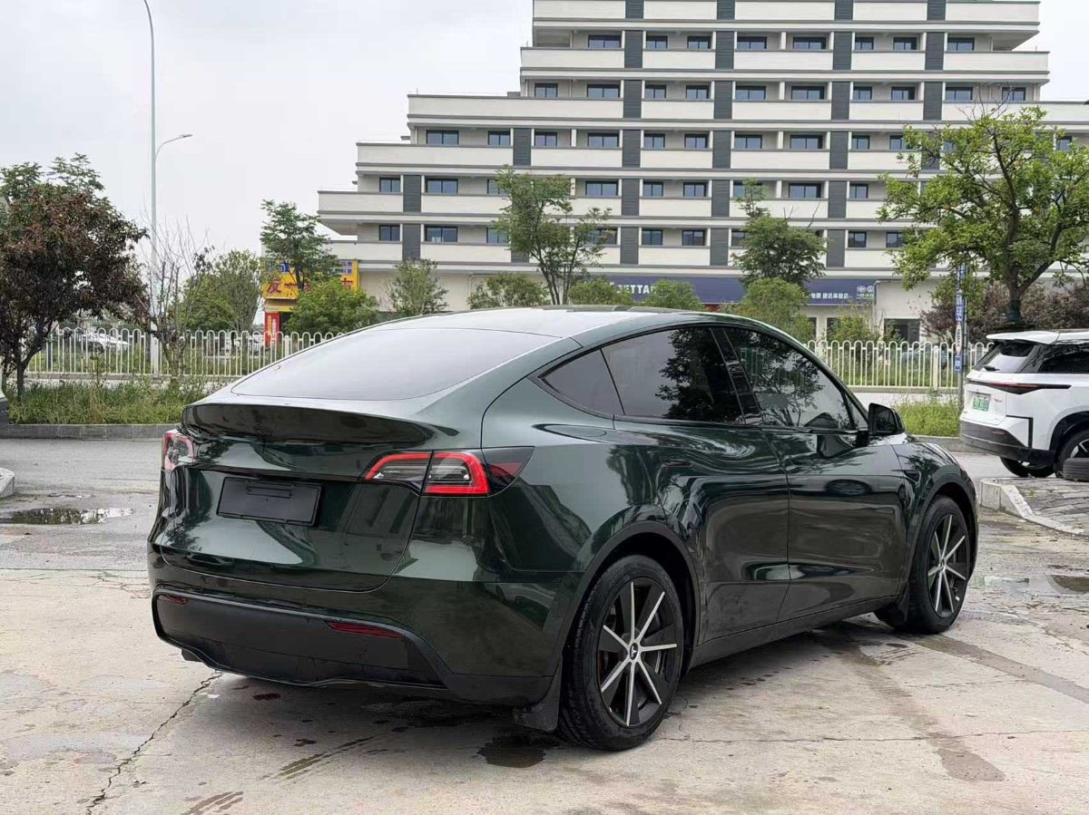 Tesla Model Y 2022 car image #6