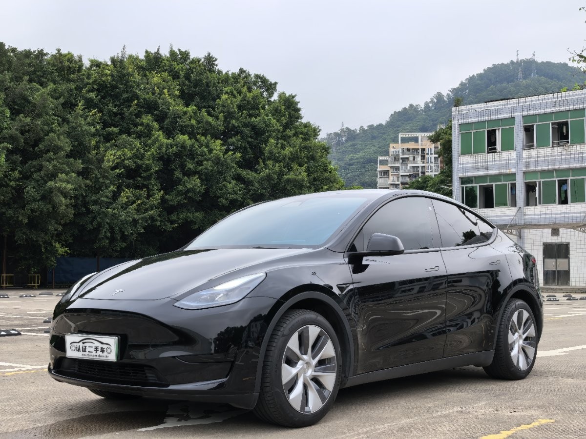 Tesla Model Y 2023 car image 