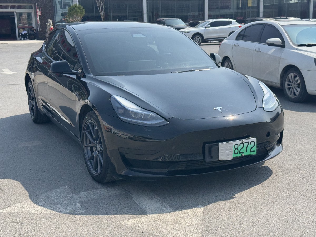 Tesla Model 3 2023 #3 Tesla Model 3 2023 car image #3