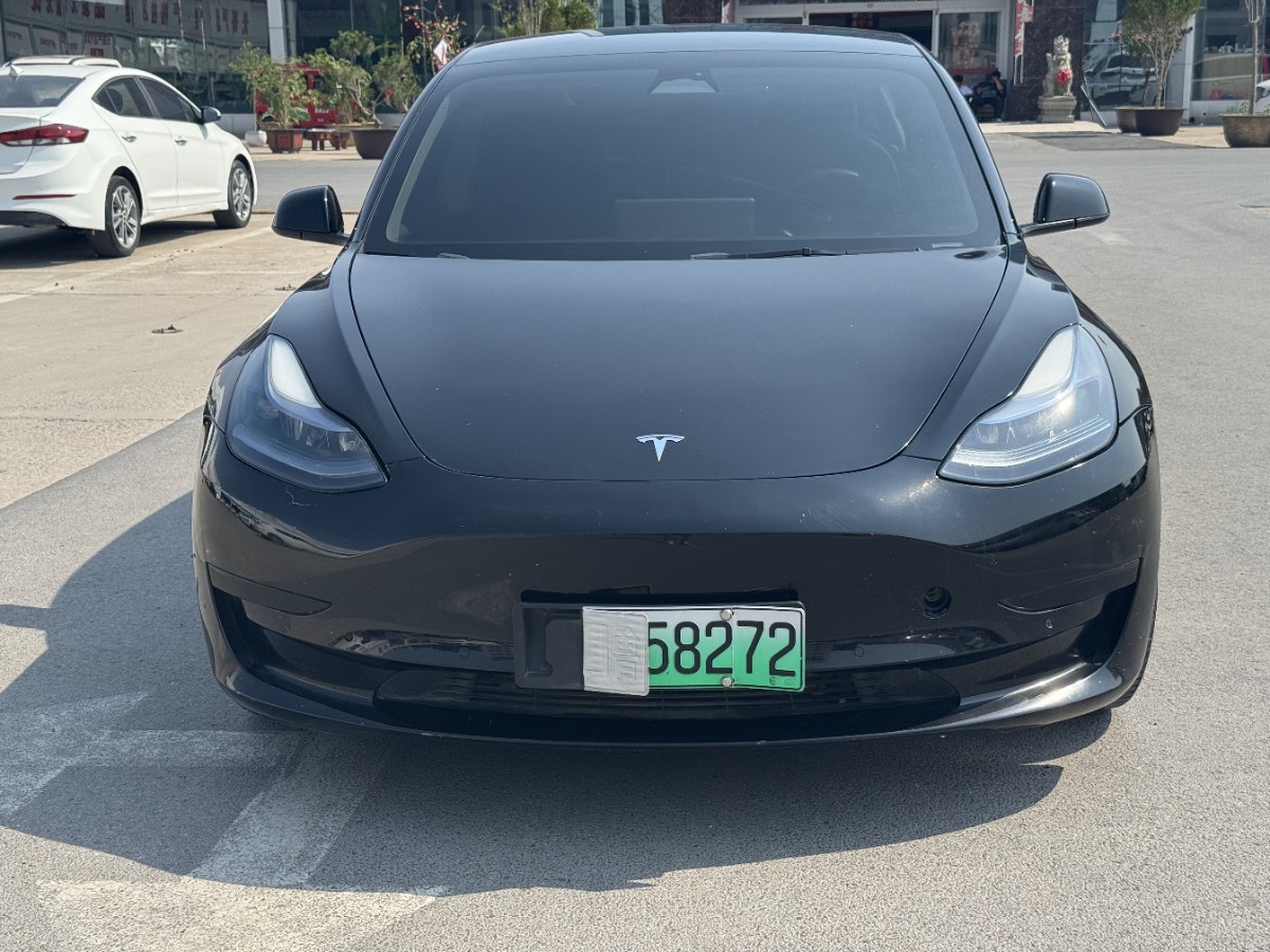 Tesla Model 3 2023 Tesla Model 3 2023 car image