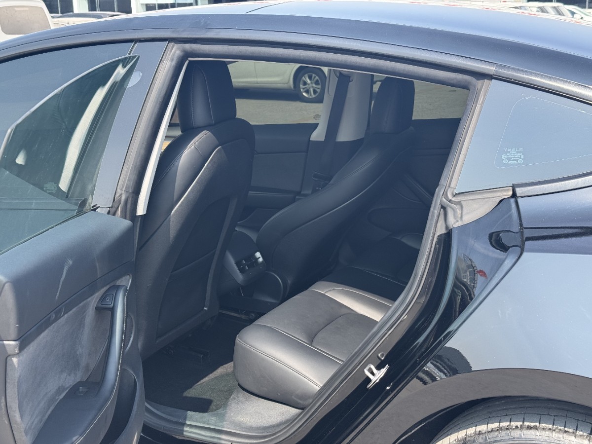 Tesla Model 3 2023 #8 Tesla Model 3 2023 car image #8