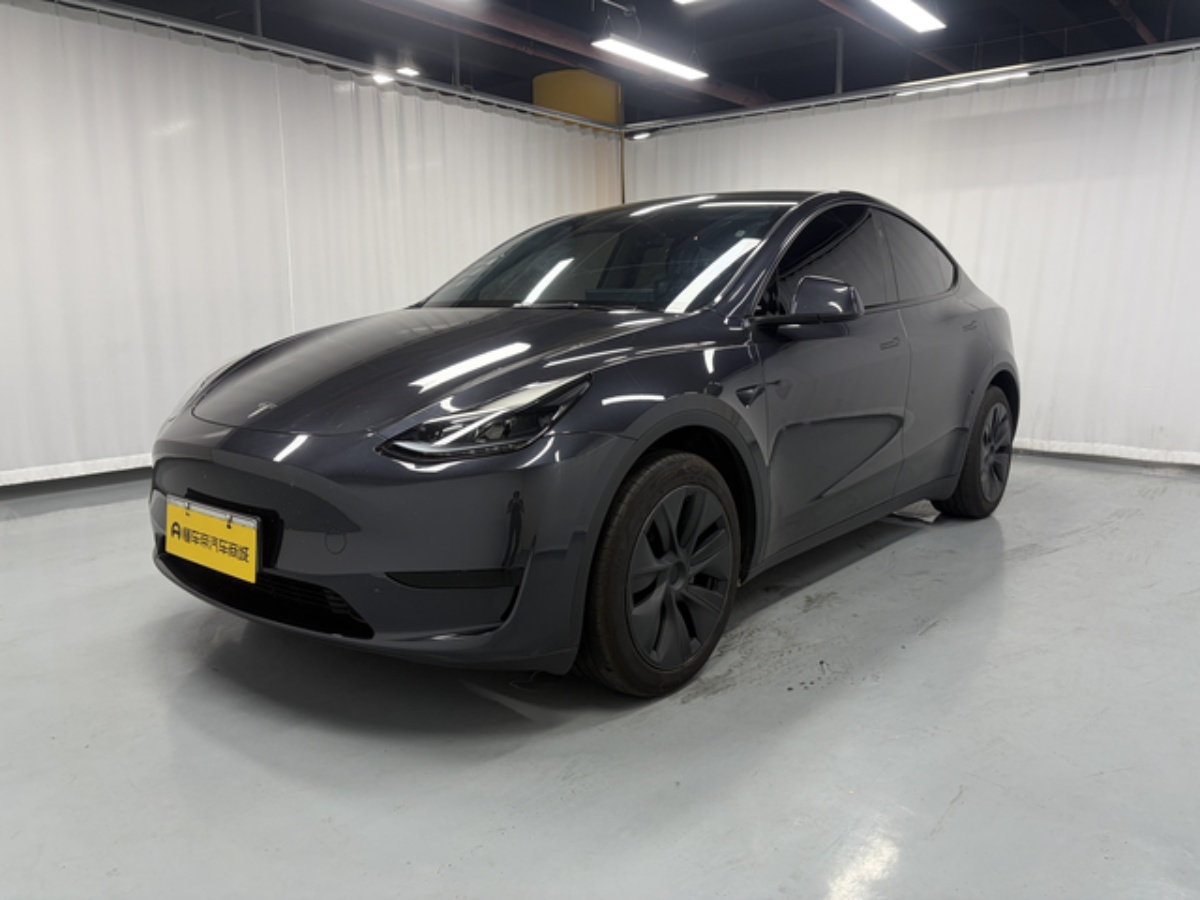 Tesla Model Y 2024 car image 