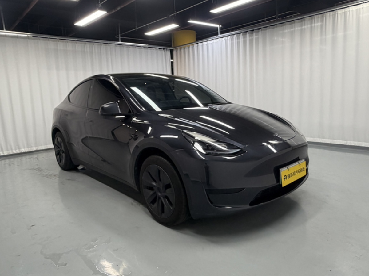 Tesla Model Y 2024 car image #3