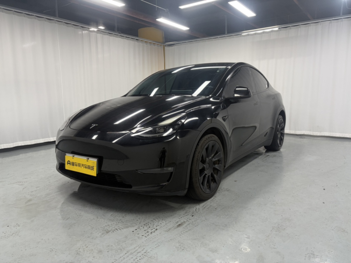 Tesla Model Y 2021 Tesla Model Y 2021 car image