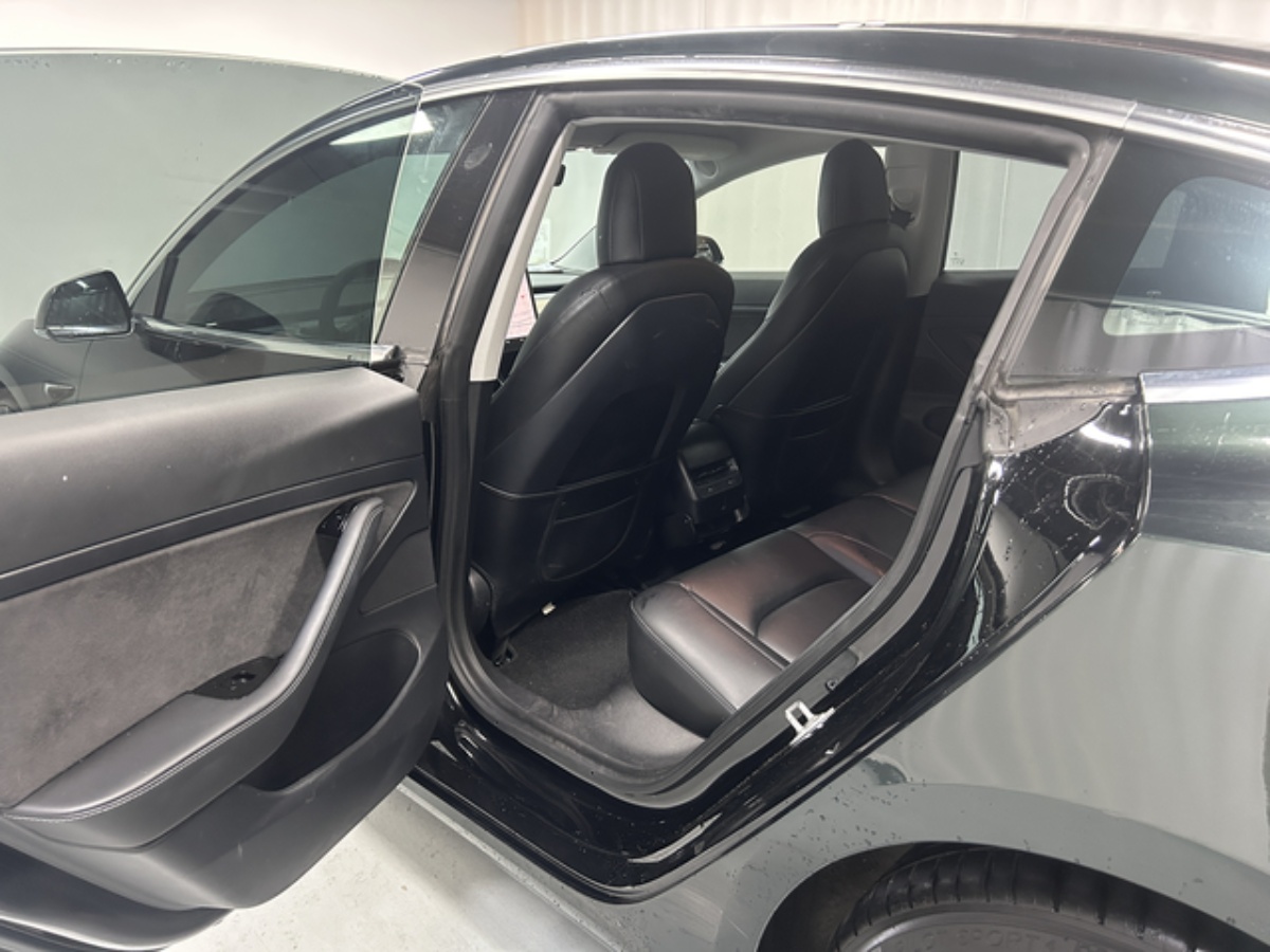 Tesla Model 3 2020 #8 Tesla Model 3 2020 car image #8