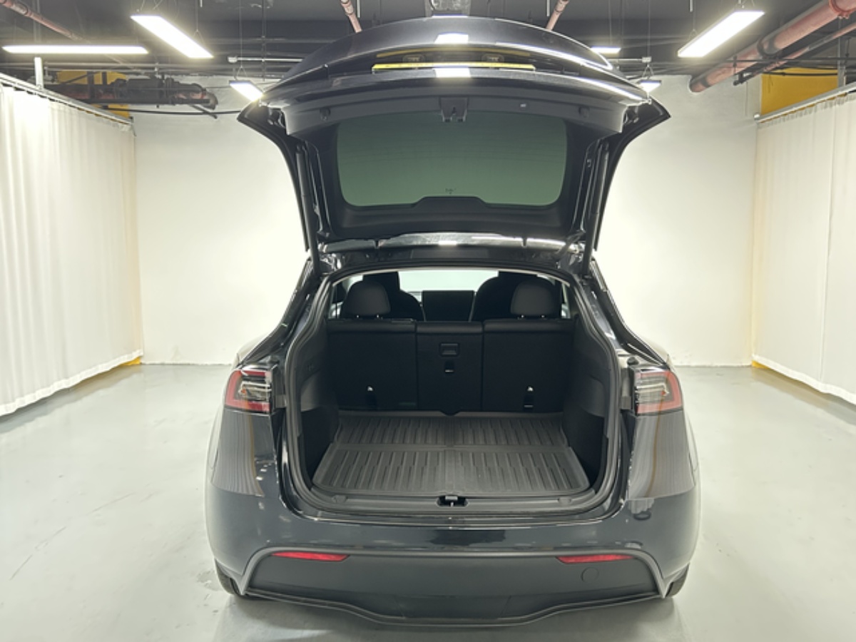 Tesla Model Y 2015 car image #8