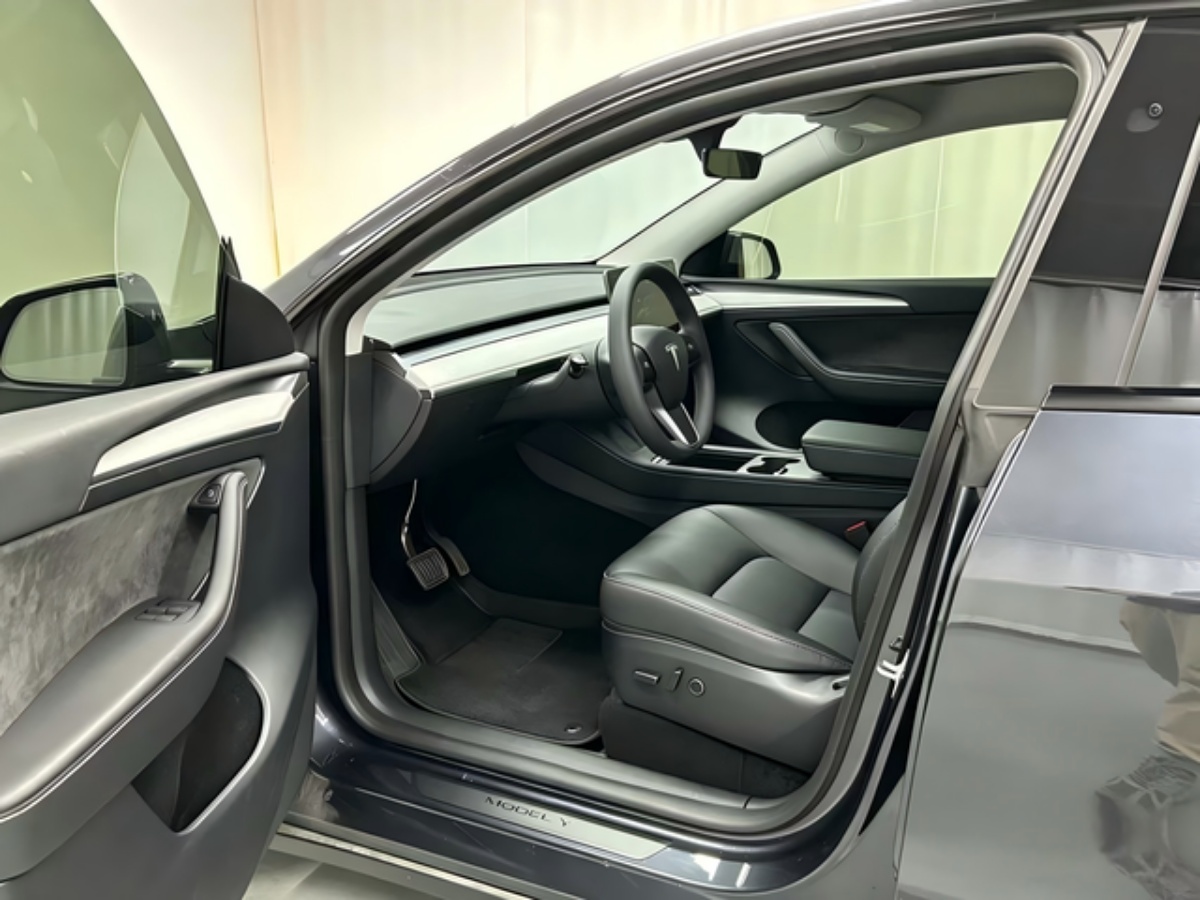 Tesla Model Y 2015 car image #9