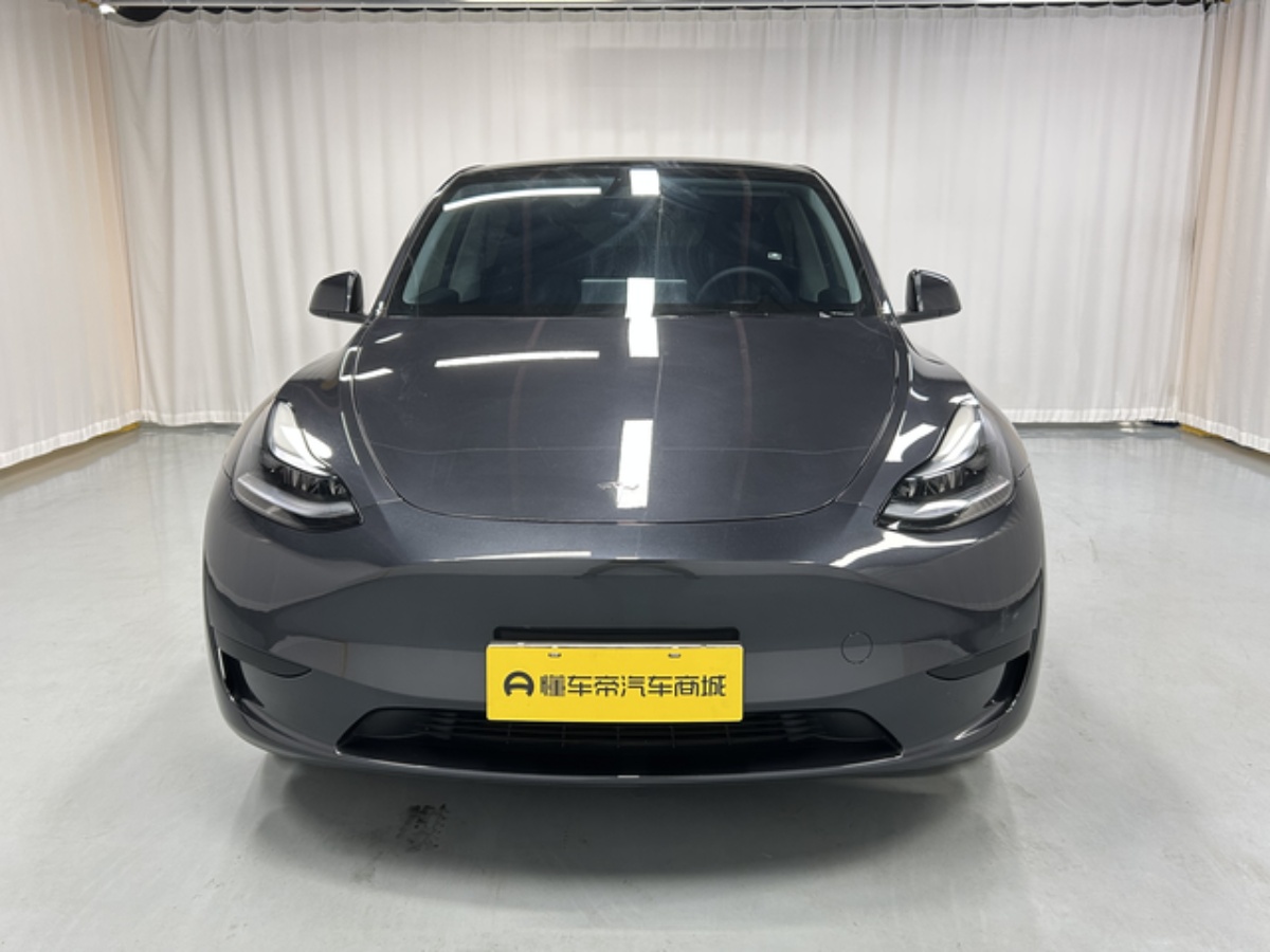 Tesla Model Y 2015 car image #2