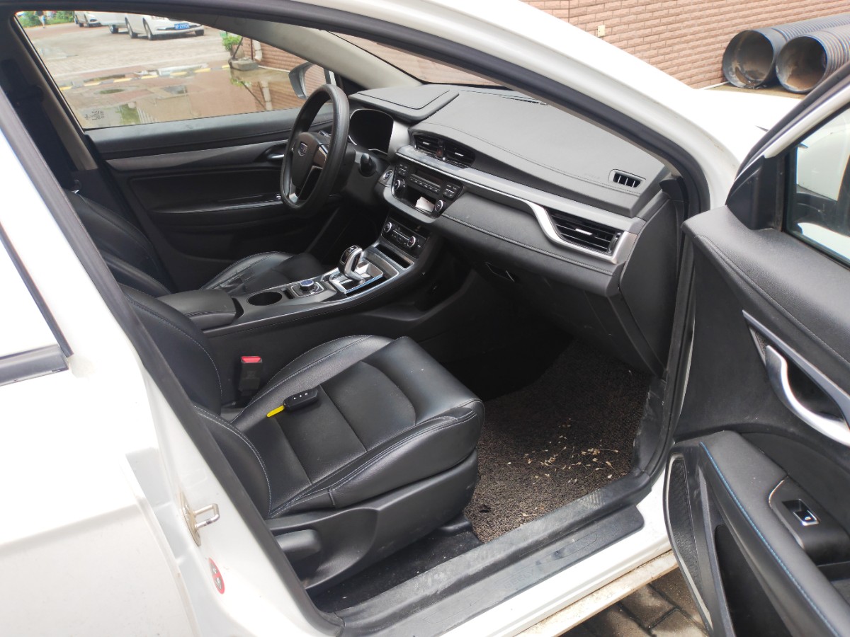GEELY Emgrand New Energy 2019 car image #8