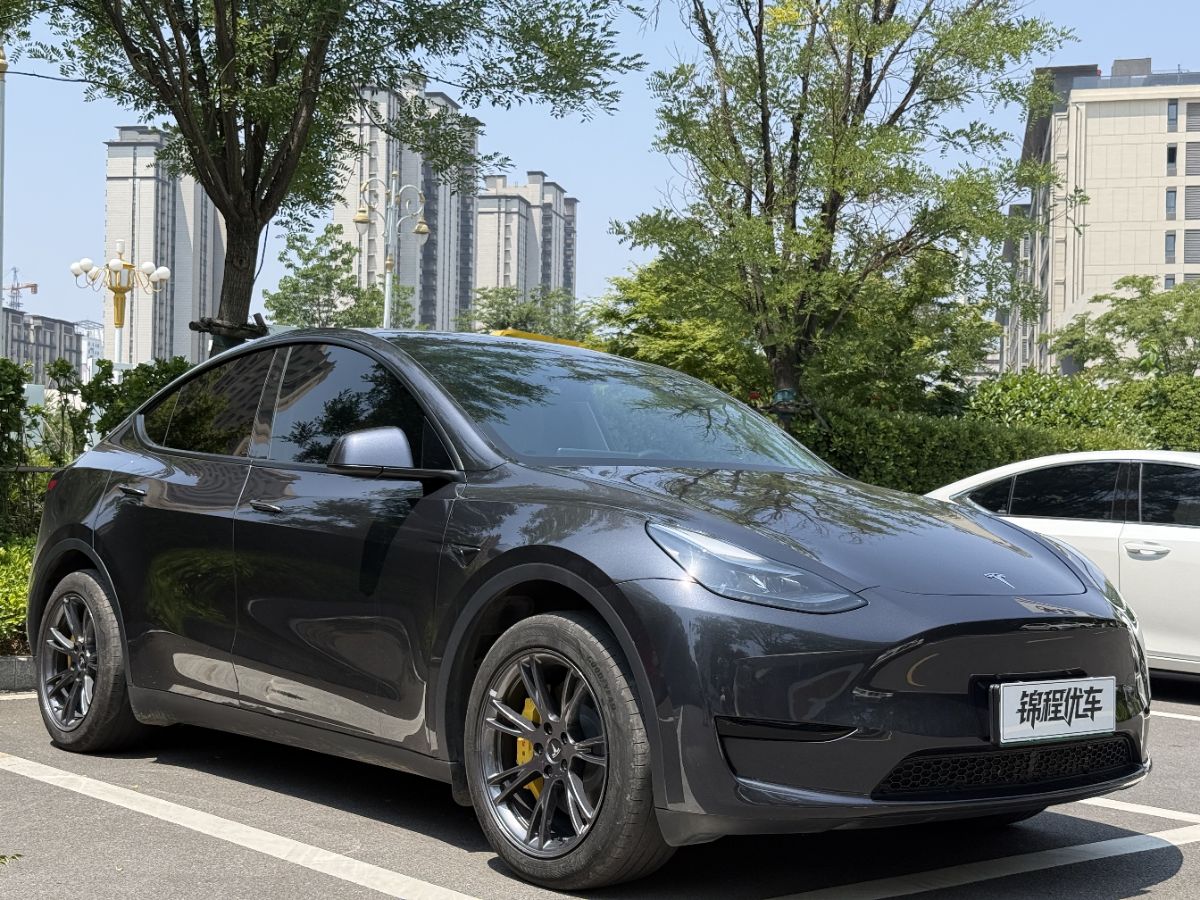 Tesla Model Y 2024 Tesla Model Y 2024 car image